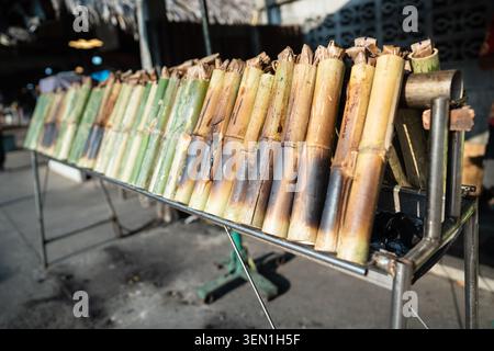Cuisson du plat asiatique exotique Khao Lam, tubes de bambou remplis de riz collant rôti sur des charbons chauds Banque D'Images