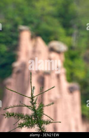 Vue sur les pyramides terrestres de Ritten/Renon dans les Alpes Dolomites Banque D'Images