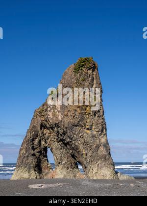 WA31186-02....WASHINGTON - Seastack sur Ruby Beach, Parc National Olympique. Banque D'Images