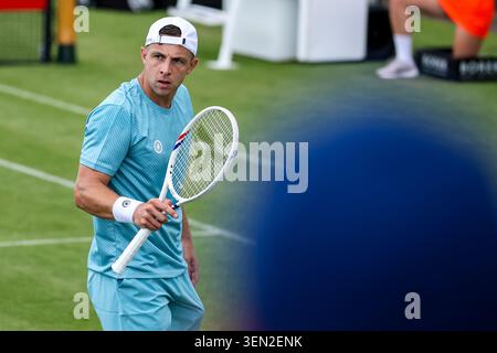 ROSMALEN, PAYS-BAS - 9 JUIN : Tallon Griekspoor, des pays-Bas, réagit dans son match de premier tour en simple masculin contre Botic van de Zandschulp, des pays-Bas, lors de la deuxième journée des Championnats Libema Open Grass court à l'Autotron le 9 juin 2026 à Rosmalen, pays-Bas. (Photo de René Nijhuis) Banque D'Images