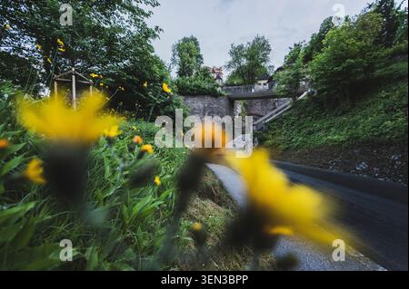 Les sentiers et les vues sur la colline de la forteresse Mönchsberg dans la ville Mozart de Salzbourg au printemps. Banque D'Images