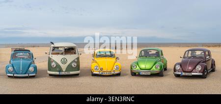 Katwijk aan Zee, pays-Bas, 11.04.2026, rangée de voitures Volkswagen Vintage à la plage, VW Beetles classiques et VW Kombi au salon de l'automobile classique Banque D'Images