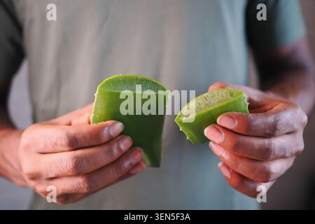 Les mains tiennent des morceaux d'aloe vera dans un cadre simple Banque D'Images