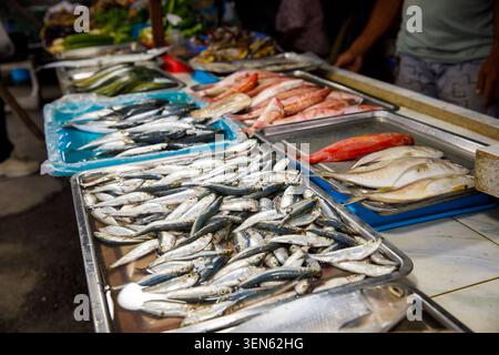 Assortiment de poissons frais sur des plateaux au marché des fruits de mer Banque D'Images