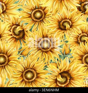 Motif aquarelle tournesol sans couture. Fleurs jaunes fleurs répètent le fond orné. Illustration florale isolée botanique peinte à la main. Pour Banque D'Images