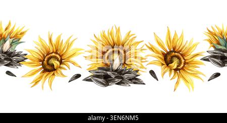 Graines d'aquarelle et fleurs de tournesol bordure sans couture. Pile de graines noires avec noyau ouvert isolé sur fond blanc. Répétition dessinée à la main Banque D'Images