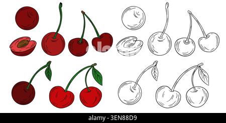 Illustration dessinée à la main de cerises et de cerises douces en couleur et contour blanc noir. Fruits entiers, cerises appariées, cerises tranchées, tiges, feuilles Banque D'Images