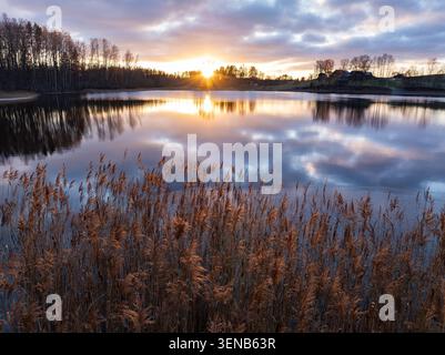 Coucher de soleil d'hiver reflété dans le lac Dubuļkas avec des roseaux dorés au premier plan, Latgale, Lettonie Banque D'Images
