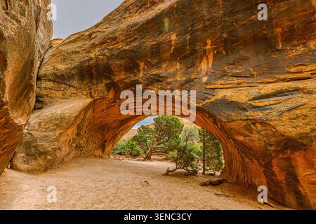 Vue intérieure sous le plafond en grès texturé de Private Arch encadrant des genièvre verts et un canyon désertique au-delà, dans le parc national d'Arches, Utah. Banque D'Images