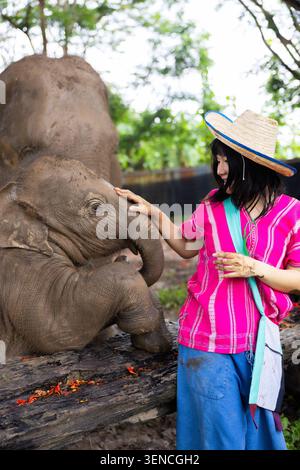 Éléphant femme touche tronc chapeau de paille rose chemise animal sanctuaire extérieur femme douce touchant tronc d'éléphant dans l'enceinte naturelle ombragée avec calme Banque D'Images