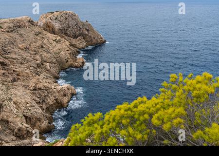 Côte rocheuse et mer bleue à Majorque, Espagne, mettant en valeur la beauté sauvage de l'île Banque D'Images