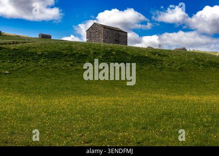 Granges de champ en pierre sur une colline au-dessus des prairies de Buttercup à Wharfedale sous un ciel bleu avec des nuages Banque D'Images