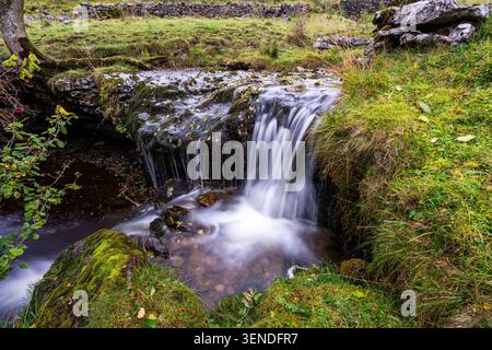 Petite cascade en cascade sur une lèvre de calcaire dans une piscine à Wharfedale avec de la mousse et des feuilles d'automne Banque D'Images