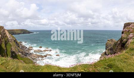 Hell’s Mouth sur la côte nord de Cornwall, montrant des falaises herbeuses abruptes encadrant la mer turquoise et bleu profond en contrebas. Les vagues s'écrasent contre les rochers Banque D'Images