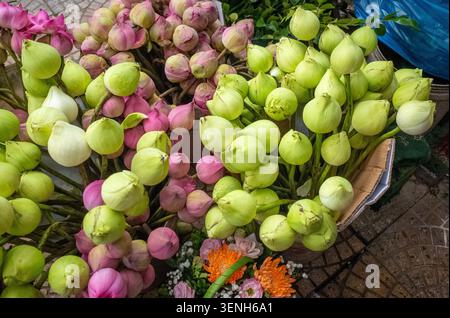 Vue en angle élevé de bouquets de bourgeons de fleurs de lotus roses et vertes frais exposés sur un marché. Banque D'Images