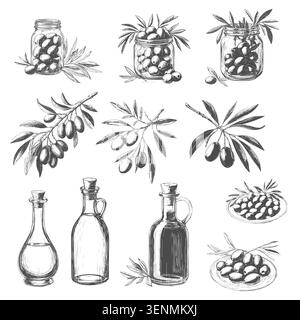 Un brin d'olive avec des baies, un croquis dessiné à la main. Illustration vectorielle. Une bouteille d'huile d'olive et des pots d'olives, une collection isolée sur un BA blanc Illustration de Vecteur