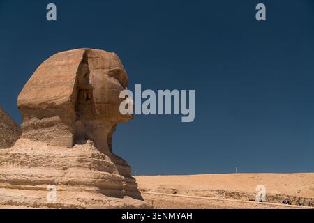 Vue de profil de la Grande Sphinx de Gizeh devant un ciel bleu profond, près du Caire. Monument ancien en calcaire montrant des détails du visage, une coiffe et une pyramide Banque D'Images