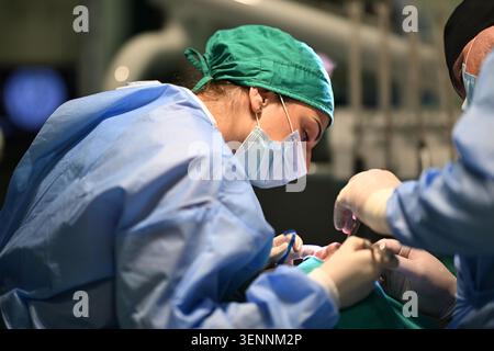 Chirurgien féminin et équipe effectuant une chirurgie délicate dans la salle d'opération moderne portant des masques et des gommages Banque D'Images