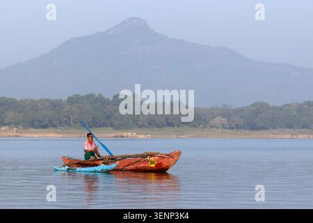 Canoë traditionnel connu sous le nom de pêche oruwa sur le lac Senanayake Samudraya, parc national de la vallée de Gal Oya, Sri Lanka Banque D'Images