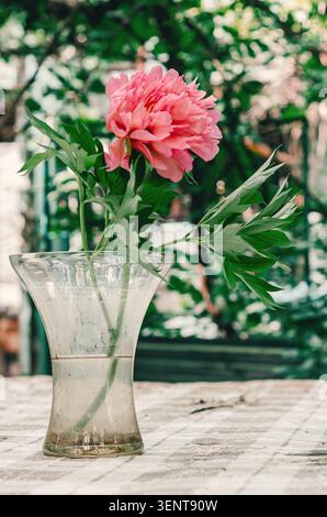 Pivoine crème placée dans un vase en verre sur une table rustique à l'extérieur. Paysage vintage naturel, composition florale élégante. Banque D'Images