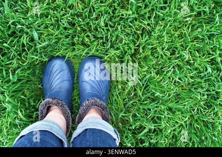 Jambes en jeans et bottes en caoutchouc bleu dans l'herbe humide. Vue de dessus. Chaussures imperméables. Femme marchant sur l'herbe verte dense. Printemps Banque D'Images