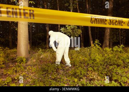 Restes humains plus âgés trouvés dans la forêt - collecte de squelette par la police Banque D'Images