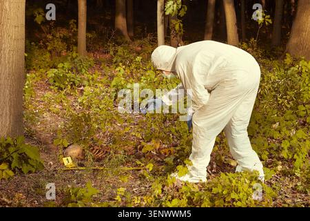 Restes humains plus âgés trouvés dans la forêt - collecte de squelette par la police Banque D'Images