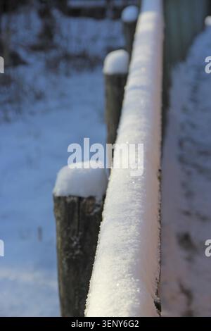 Arbres couverts de neige. Temps glacial. Paysage d'hiver avec de beaux sapins. Vie à la campagne en hiver enneigé. De grands épinettes dans le village des Carpates. C Banque D'Images
