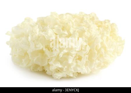 Champignon des neiges séchées (Tremella fuciformis) sur fond blanc Banque D'Images