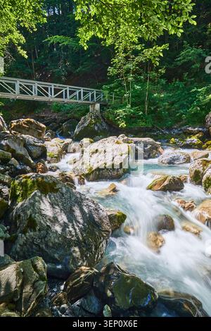 Ruisseau de montagne ensoleillé se précipitant sur des rochers couverts de mousse sous une petite passerelle métallique dans une forêt dense. Banque D'Images