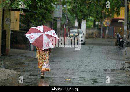 Siliguri, Bengale occidental, Inde. 13 juin 2026. Une dame marche avec un parapluie pendant la pluie à Siliguri. (Crédit image : © Diptendu Dutta/ZUMA Press Wire) USAGE ÉDITORIAL SEULEMENT ! Non destiné à UN USAGE commercial ! Banque D'Images