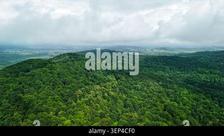 Les cimes des arbres sans fin forment un tapis émeraude dense à travers des collines ondulantes sous un ciel éclatant. La vue du drone révèle des couches de nature sauvage qui s'étirent Banque D'Images