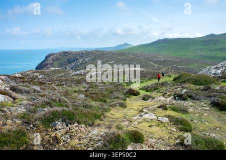 Marcheurs sur le chemin côtier du Pembrokeshire, Pembrokeshire, pays de Galles, Royaume-Uni. Vue vers l'ouest depuis Davids Head, Pembrokeshire, pays de Galles, Royaume-Uni Banque D'Images