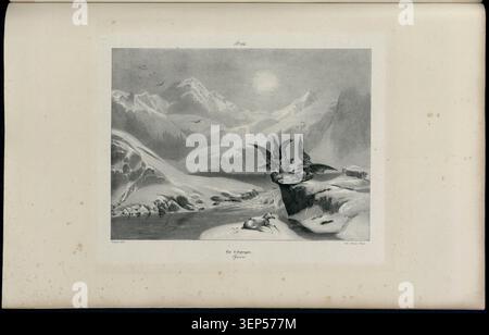 La gravure présente le lac Espingo dans la région pyrénéenne près de Bagnères-de-Luchon en haute-Garonne, montrant un paysage lacustre alpin dans un terrain montagneux et reflétant la représentation topographique scénique française du XIXe siècle des environnements naturels de haute altitude. Banque D'Images