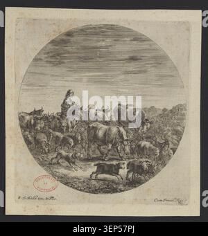 Stefano Della Bella produit une gravure montrant une femme rurale assise à cheval entourée de bovins, de chèvres et de moutons formant une scène pastorale d'élevage de la vie rurale et de la gestion des animaux agricoles. Banque D'Images
