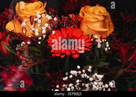 Bouquet de fleurs coloré avec des roses et gerbera en gros plan. Arrangement floral pour célébration, cadeau et occasion spéciale. Banque D'Images