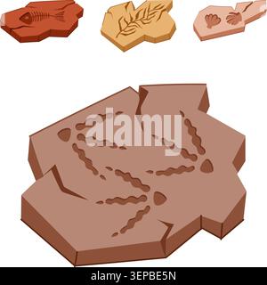 Collection de différentes empreintes fossilisées comprenant des os de poissons, des feuilles, des coquillages et des empreintes de dinosaures, offrant une représentation visuelle de l'ancien Illustration de Vecteur