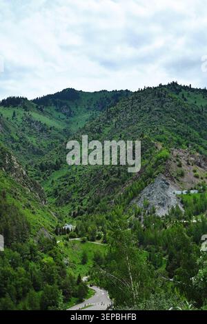 Vue panoramique verticale à grand angle d'une route asphaltée serpentant à travers une vallée verdoyante entourée de collines abruptes couvertes de forêt de conifères Banque D'Images