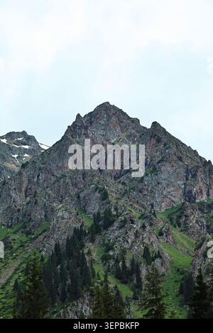 Sommet majestueux de Sharp Mountain avec des pins et des falaises rocheuses Banque D'Images