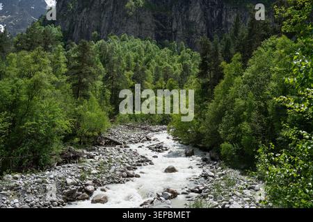 Vue panoramique d'une rivière sauvage rapide coulant dans les montagnes avec des pins et des falaises puissante rivière de montagne se précipitant à travers un lit de rivière rocheux dans un d Banque D'Images