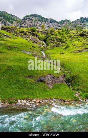 Photo verticale d'une prairie alpine verdoyante à Pfelders, Tyrol du Sud, Italie. Une petite cascade descend en cascade sur une colline rocheuse dans un turquoise clair Banque D'Images