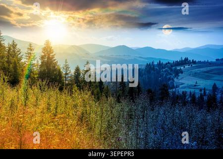 sapins sur une prairie en bas de la volonté à la forêt de conifères dans les montagnes. jour et nuit. soleil et lune sur le fond de la nature de la terre de montagne des carpates Banque D'Images