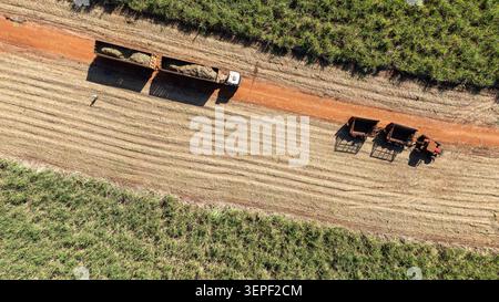 Un drone en grand angle capturant une installation agricole commerciale située à côté de rangées de cultures vertes éclatantes. L'image met en évidence l'organe propre Banque D'Images