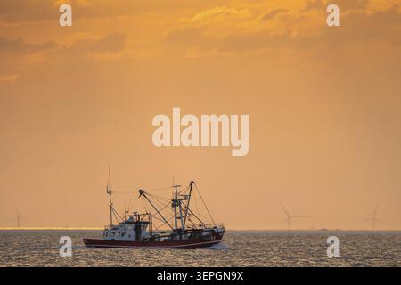 Bateau de pêche dans le ciel du soir, éoliennes à l'horizon, éoliennes, plage de Houvig, mer du Nord, Danemark Banque D'Images