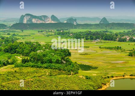 Vue panoramique sur les montagnes karstiques de Guilin et les rizières vertes dans Guangxi, Chine Banque D'Images