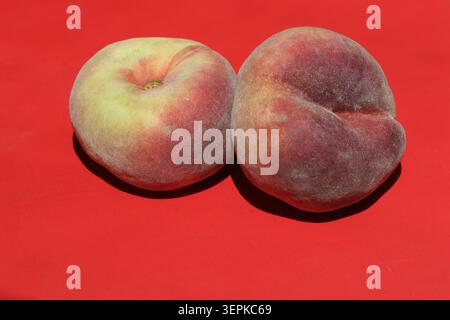Gros plan à angle élevé de deux pêches beignets floues fraîches sur un fond rouge vif Banque D'Images