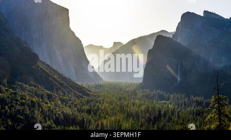 Lumière matinale d'été à la vue sur la vallée dans le parc national de Yosemite. Image haute résolution. Banque D'Images