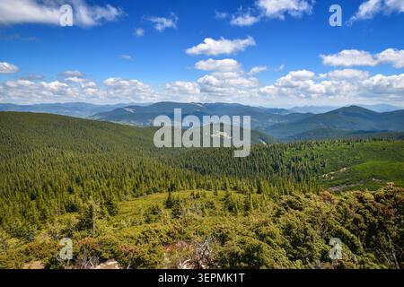 Superbe vue panoramique sur la vaste forêt de conifères verdoyants couvrant les pentes montagneuses et les vallées sous un ciel bleu vif avec des nuages blancs moelleux. Banque D'Images