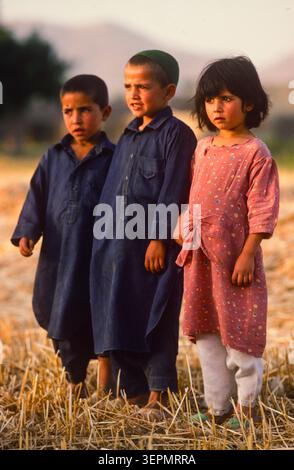 Enfants jouant pendant la récolte du blé dans la vallée fertile de la rivière Kaboul, Afghanistan août 1992 Banque D'Images