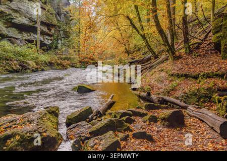 Wild gorge (Divoká soutěska) dans le parc national de la Suisse Bohême, République tchèque, avec des falaises de grès, des paysages forestiers en automne. Banque D'Images